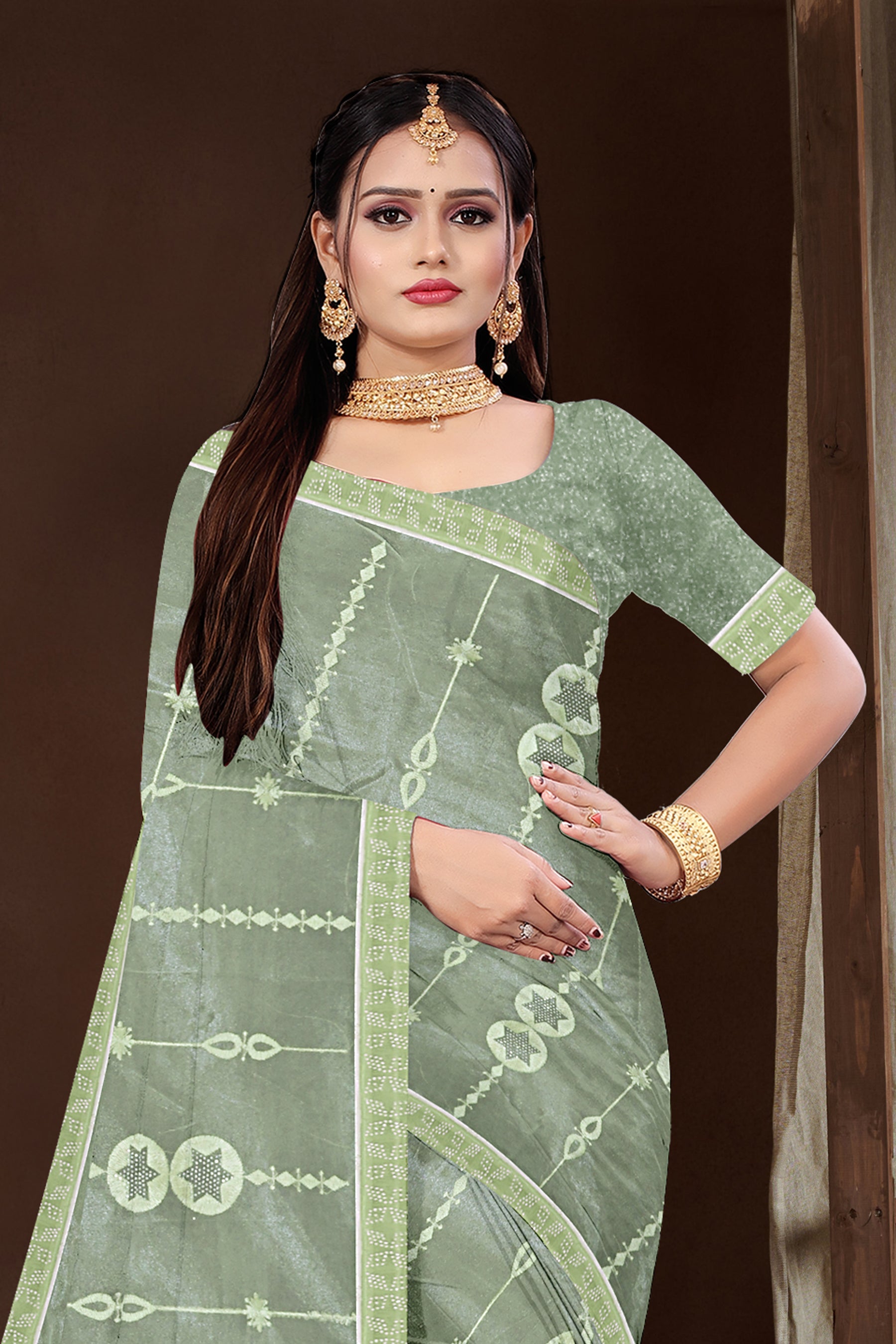 Sage Green Embroidered Organza Saree