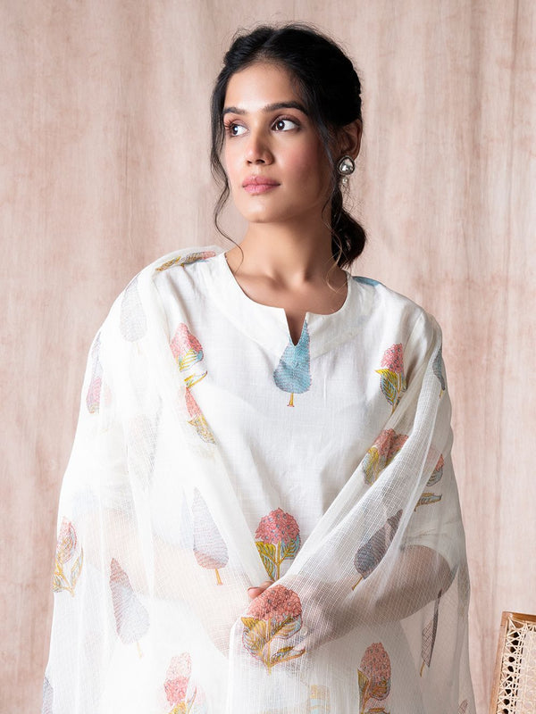 Soft Cotton Printed Suit Set